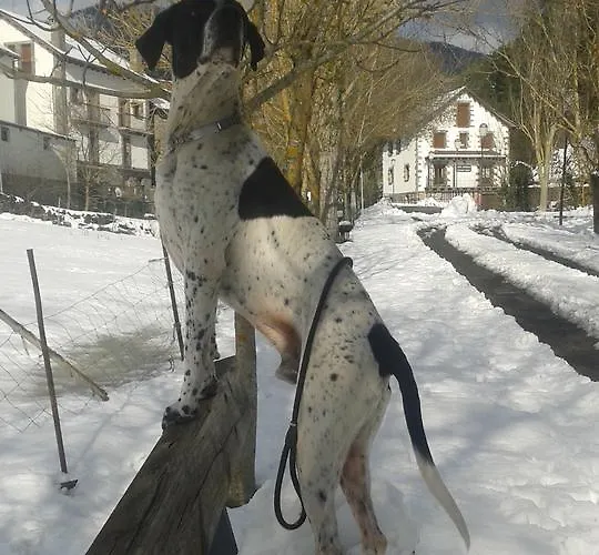 Casa di campagna Casa Ursula